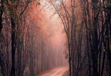 狼队连续三轮不胜，降级危机临头！