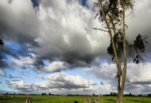 沙尔克04做客险胜霍芬海姆，继续稳居前列